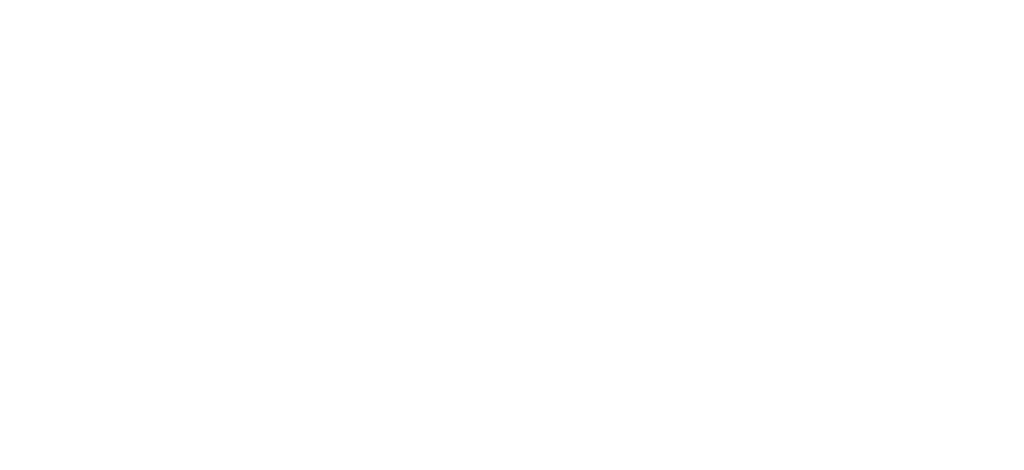 Transit Access Partnership Logo - white