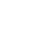 safe access icon